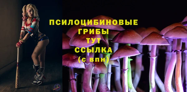 PSILOCYBIN Горняк