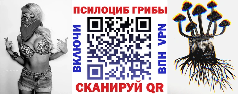 shop как зайти  Мураши  Галлюциногенные грибы мицелий 
